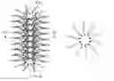 Fig. 01 - Nanowire bundle and method of manufacturing nanostructure