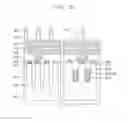 Fig. 24 - Methods of forming a silicon layer, methods of forming patterns, and methods of manufacturing semiconductor devices using the same