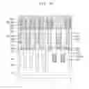 Fig. 28 - Methods of forming a silicon layer, methods of forming patterns, and methods of manufacturing semiconductor devices using the same