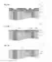 Fig. 07 - Systems and methods for producing flat surfaces in interconnect structures