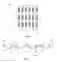 Fig. 04 - Semiconductor device and lead frame with high density lead array