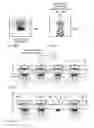 Fig. 09 - Fluid-suspended microcomponent harvest, distribution, and reclamation