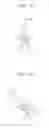 Fig. 13 - Image sensor