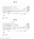 Fig. 10 - Flexible display device and method of manufacturing the same