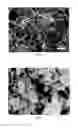 Fig. 02 - METHOD FOR PREPARING LITHIUM IRON PHOSPHATE MATERIAL COATED WITH CARBON NANORIBBON