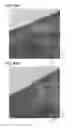 Fig. 45 - Positive electrode active material particle and manufacturing method of positive electrode active material particle