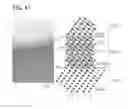 Fig. 48 - Positive electrode active material particle and manufacturing method of positive electrode active material particle