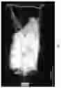 Fig. 11 - Stabilization coatings for solid state batteries