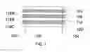 Fig. 02 - Wideband dual-polarized patch antenna