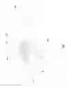 Fig. 12 - Communication connector