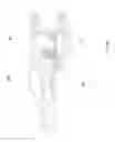 Fig. 22 - Communication connector