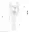 Fig. 32 - Communication connector