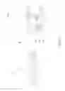 Fig. 42 - Communication connector