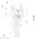 Fig. 43 - Communication connector