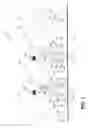 Fig. 02 - Rugged weather resistant power distribution
