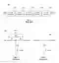 Fig. 02 - Temperature compensated digital step attenuator