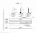Fig. 11 - TRANSMISSION DEVICE AND NETWORK SYSTEM