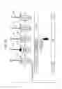 Fig. 23 - TRANSMISSION DEVICE AND NETWORK SYSTEM