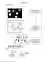 Fig. 229 - Display method, non-transitory recording medium, and display device