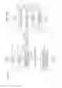 Fig. 258 - Display method, non-transitory recording medium, and display device