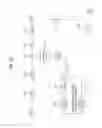 Fig. 55 - Digital broadcast system for transmitting/receiving digital broadcast data, and data processing method for use in the same