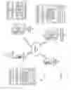 Fig. 02 - Real time event capture and analysis of transient data for an information network