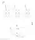 Fig. 05 - Graceful scaling in software driven networks