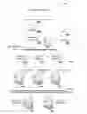 Fig. 01 - Method and system for increasing speed of domain name system resolution within a computing device