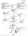 Fig. 02 - Distributed consensus in a content centric network