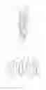 Fig. 02 - Camera device and terminal having same