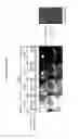 Fig. 02 - Image processing apparatus and method for setting wide dynamic range mode based on luminance of image