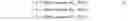 Fig. 04 - VIDEO ENCODING METHOD, VIDEO DECODING METHOD, VIDEO ENCODER, AND VIDEO DECODER