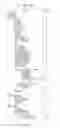 Fig. 24 - Apparatus for transmitting broadcast signals, apparatus for receiving broadcast signals, method of transmitting broadcast signals and method of receiving broadcast signals