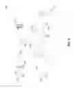 Fig. 02 - eSIM identification data