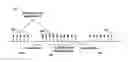 Fig. 01 - Radio link issues in a carrier aggregation