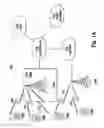 Fig. 02 - Method and apparatus for sending uplink control information for multi-radio access technology operation