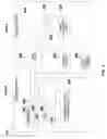 Fig. 05 - Dynamic generation of geographically bound manet IDs