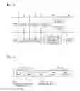 Fig. 07 - Method and apparatus for supporting data transmission of network node in wireless communication system