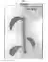 Fig. 04 - Avocado tree named 'TAMI'