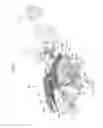 Fig. 06 - WINDROW MERGING APPARATUS