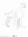 Fig. 02 - SHIN GUARD FOR PETS