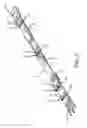 Fig. 04 - Flea collar for pets