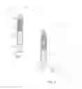 Fig. 04 - Self dispensing bait holder