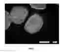 Fig. 02 - Proflavor delivery particles