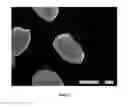 Fig. 04 - Proflavor delivery particles