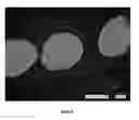 Fig. 05 - Proflavor delivery particles