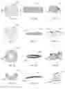 Fig. 07 - Methods and Apparatus for Shape-Changing Food