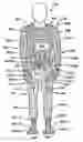 Fig. 01 - Heated garments