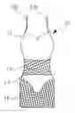 Fig. 01 - CONVERTIBLE GARMENT