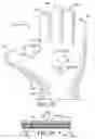 Fig. 18 - Protective device for use with a glove